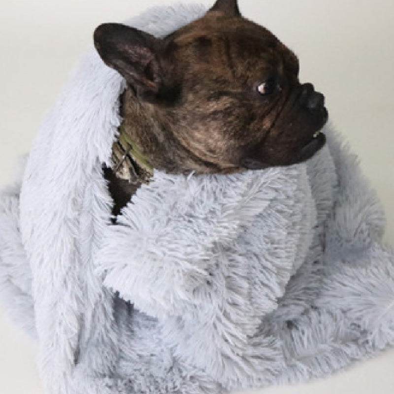 Kuscheldecke für Hunde & Katzen – Weicher Plüsch, maschinenwaschbar